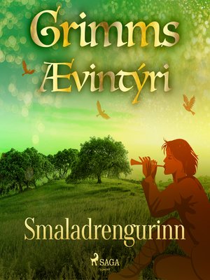 cover image of Smaladrengurinn